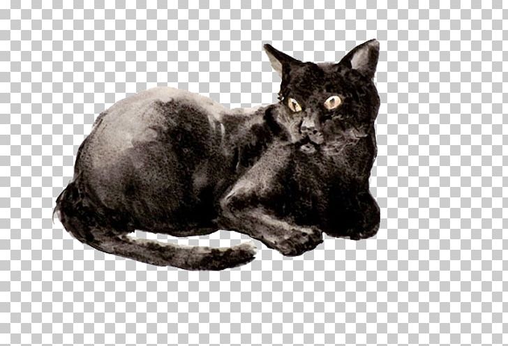 Korat Bombay Cat European Shorthair Havana Brown Burmese Cat PNG, Clipart, Animal, Animals, Background Black, Black, Black Hair Free PNG Download