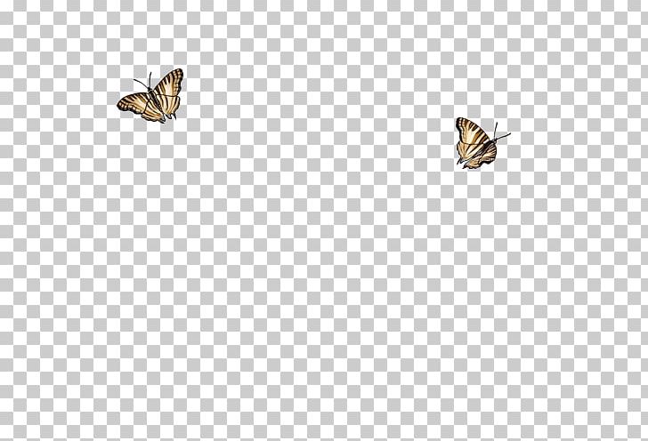 Butterflies And Moths Insect Fauna Wildlife PNG, Clipart, Animals, Arthropod, Butterflies And Moths, Butterfly, Fauna Free PNG Download