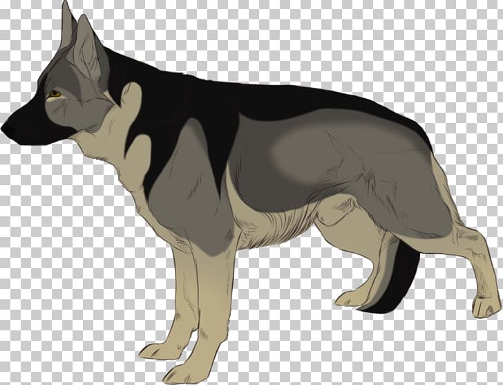 Dog Breed German Shepherd Snout PNG, Clipart, Breed, Carnivoran, Chiaroscuro, Dog, Dog Breed Free PNG Download