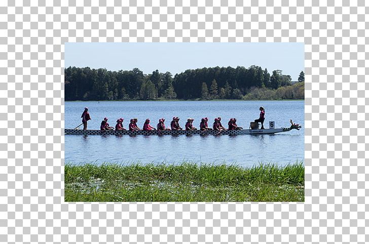 Rowing Canoe Water Resources Boat Leisure PNG, Clipart, Bayou, Boat, Boating, Canoe, Dragon Boat Festival Free PNG Download