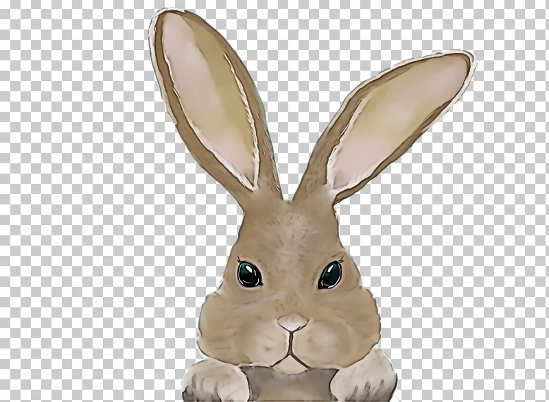 Easter Bunny PNG, Clipart, American Shorthair, Cartoon, Drawing, Easter Bunny, Fur Free PNG Download
