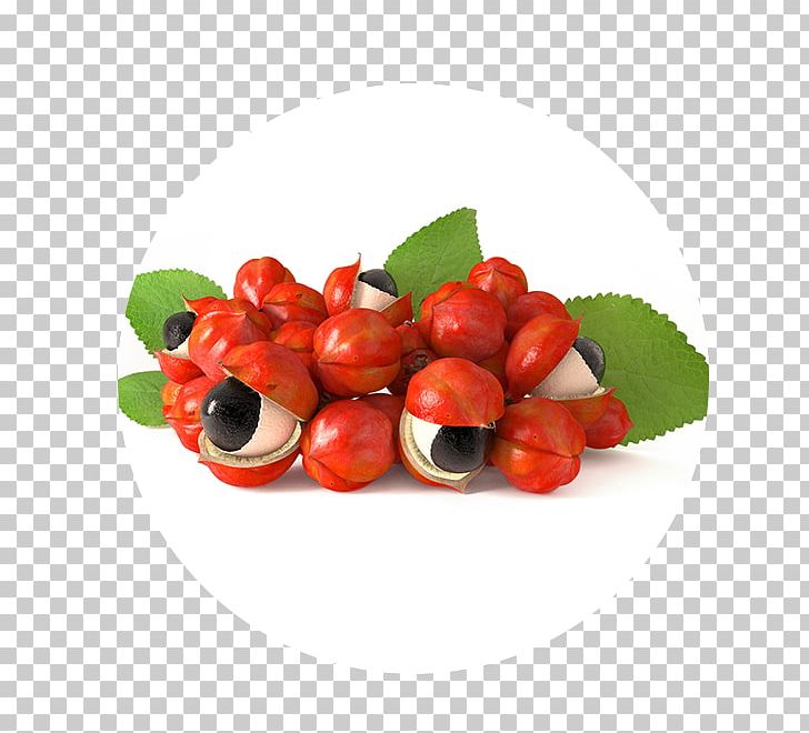 Amazon Rainforest Guarana Caffeinated Drink Extract Fizzy Drinks PNG, Clipart, Amazon Rainforest, Berry, Brazil Nut, Caffeinated Drink, Caffeine Free PNG Download