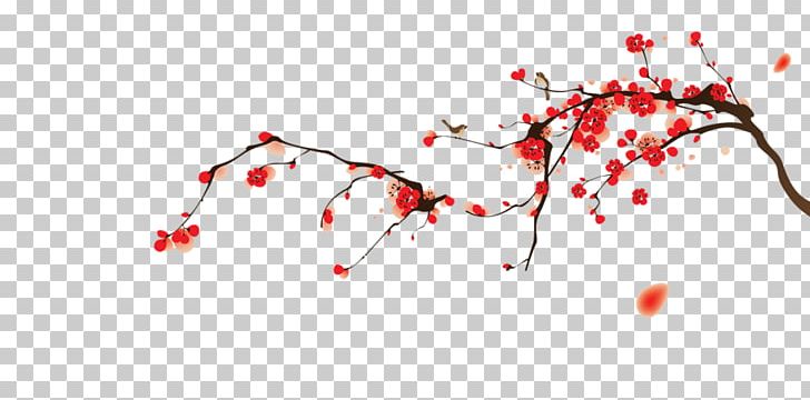 Serum Placenta Coenzyme Q10 Ageing Nutrient PNG, Clipart, Ageing, Blood, Blossom, Branch, Ceramide Free PNG Download