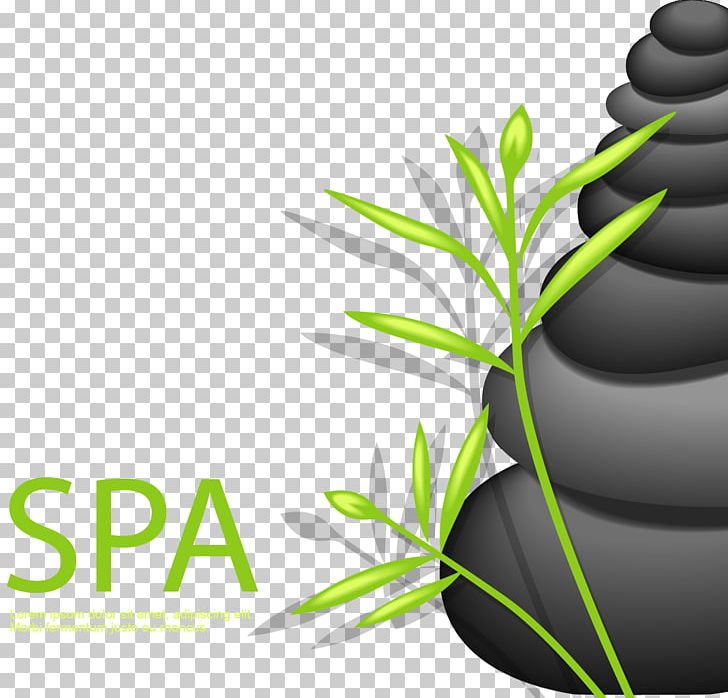 Leaf Text Logo PNG, Clipart, Adobe Illustrator, Bran, Computer Wallpaper, Encapsulated Postscript, Gathering Free PNG Download