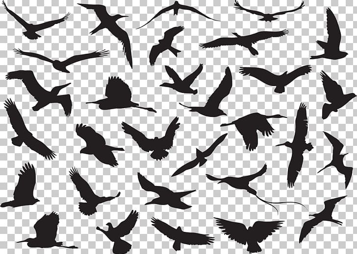 Hummingbird Crane Flock PNG, Clipart, Animal Migration, Animals, Beak, Bird, Bird Migration Free PNG Download