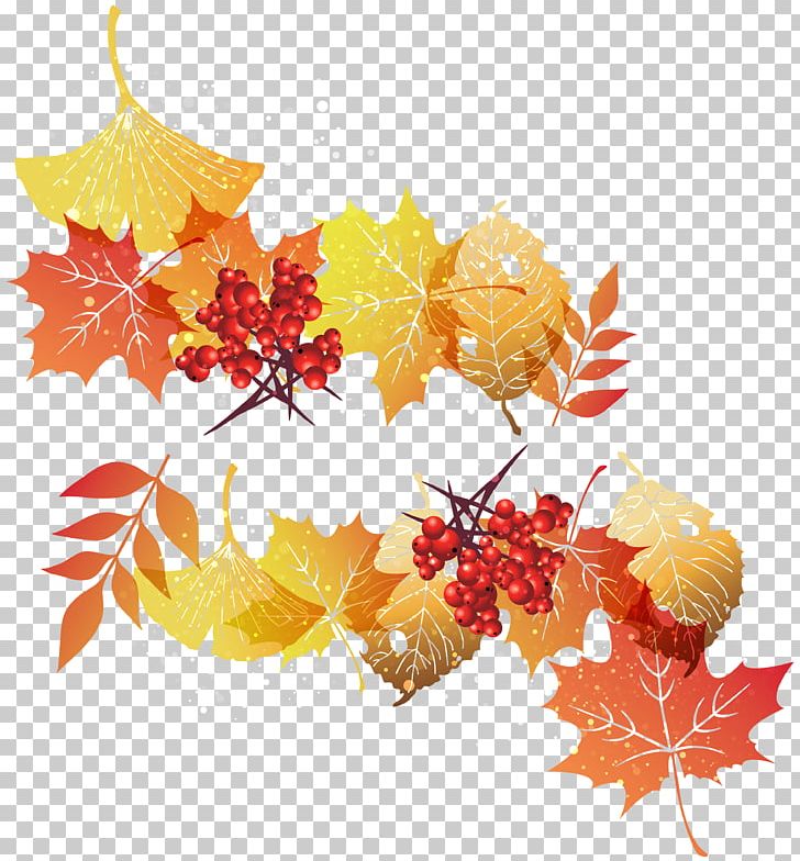 Maple Leaf Autumn Leaf Color PNG, Clipart, Autumn, Autumn Leaf Color, Flower, Flowering Plant, Fruit Free PNG Download