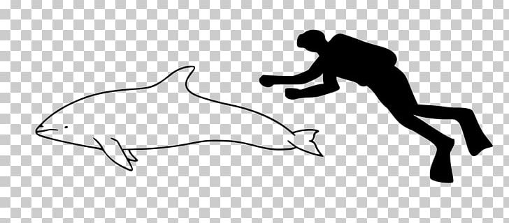 River Dolphin Striped Dolphin Spinner Dolphin Atlantic Spotted Dolphin Pantropical Spotted Dolphin PNG, Clipart, Angle, Animals, Arm, Black, Bottlenose Dolphin Free PNG Download