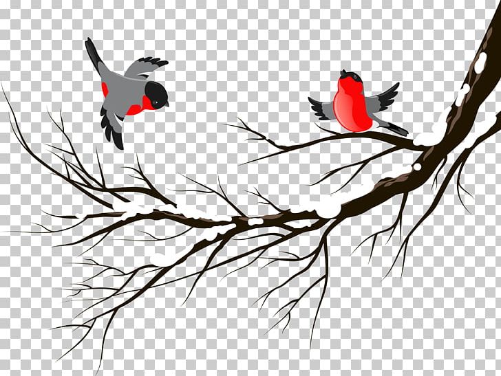 Bird European Robin Winter PNG, Clipart, Animals, Beak, Bird, Birds, Branch Free PNG Download