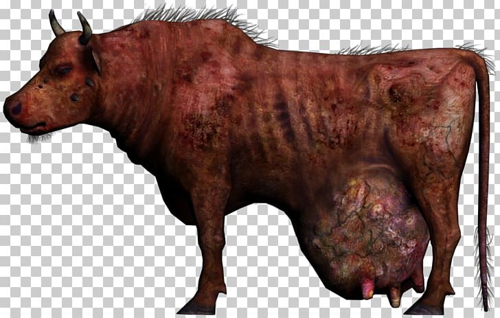 Fallout: New Vegas Fallout 4 The Pitt The Elder Scrolls V: Skyrim Wasteland PNG, Clipart, Bison, Brahmin, Bull, Cattle Like Mammal, Cow Goat Family Free PNG Download