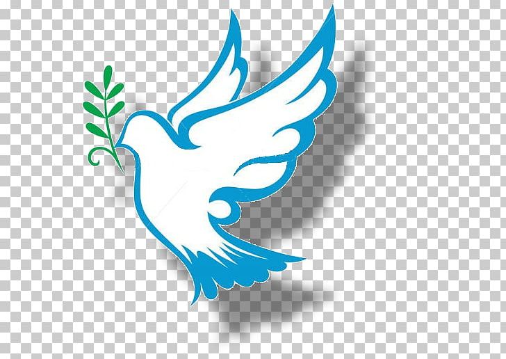 Logo Doves As Symbols Olive Branch PNG, Clipart, Aqua, Artwork, Beak, Child, Colombe Free PNG Download