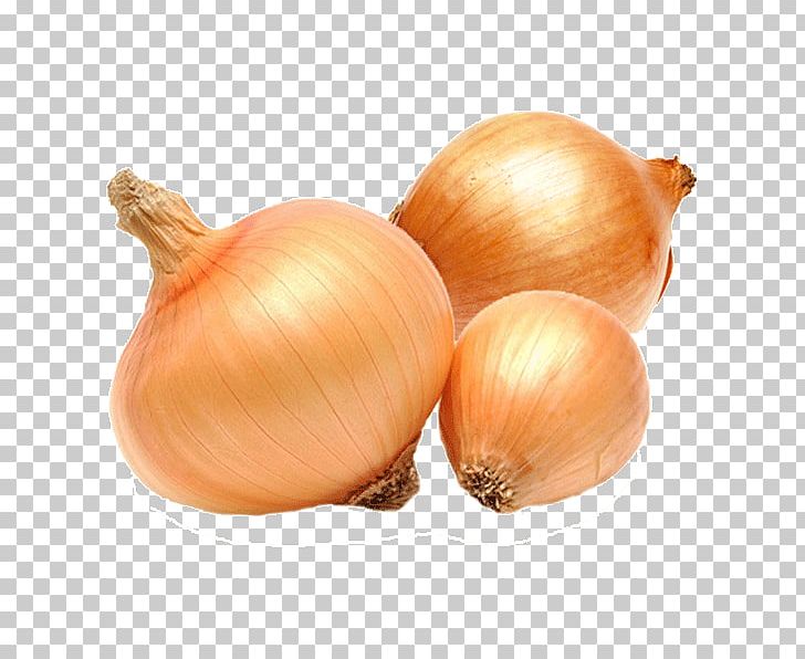 Yellow Onion NIOKOBOK Vegetable Milk Shallot PNG, Clipart, Canning, Cheese, Chocolate, Dairy Products, Food Free PNG Download