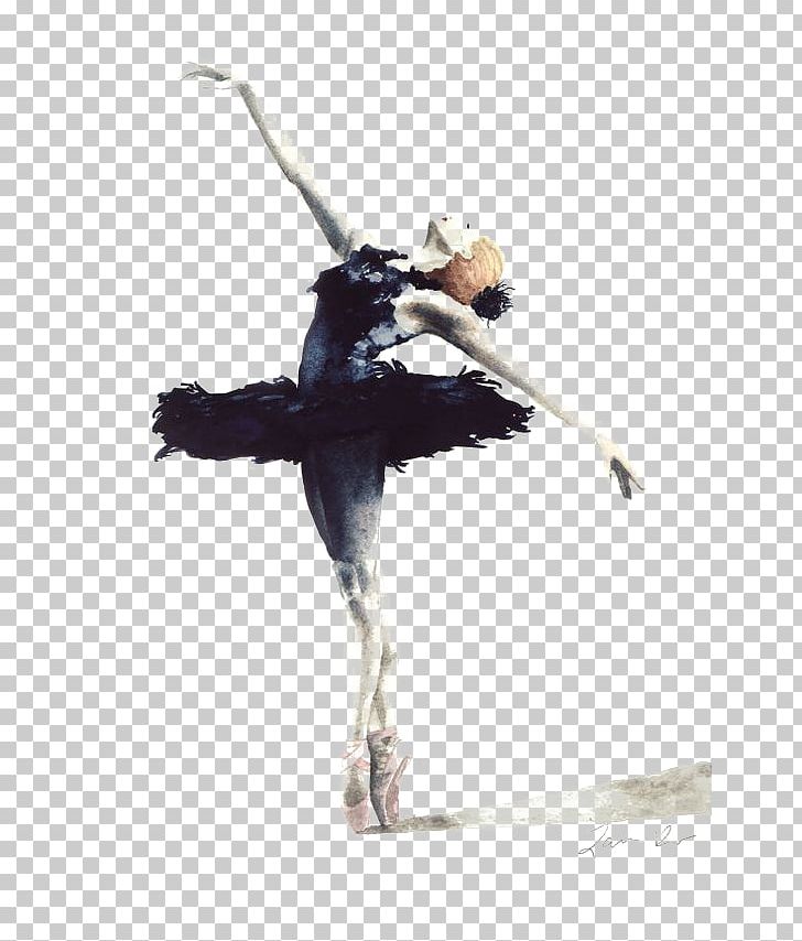 Ballet Dancer Swan Lake Cygnini Drawing PNG, Clipart, Balle, Ballet, Ballet Dance, Ballet Girl, Ballet Shoe Free PNG Download