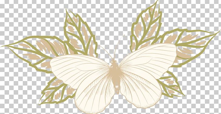 Butterfly Drawing PNG, Clipart, Butte, Cartoon, Encapsulated Postscript, Flower, Hand Free PNG Download