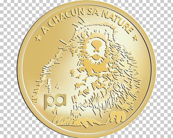 Coin Gold Medal Cash Money PNG, Clipart, Animalier, Cash, Cash Money, Coin, Currency Free PNG Download