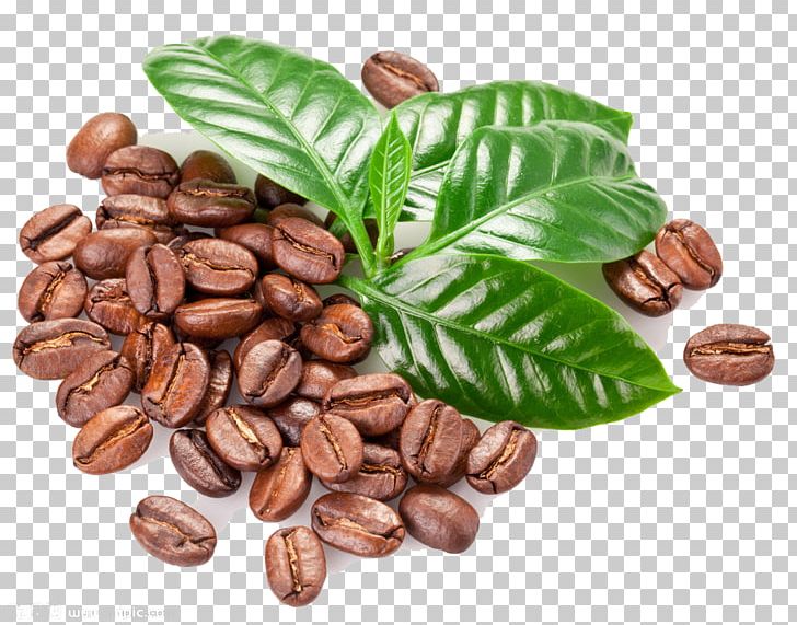 Kona Coffee Coffee Bean Seed Coffea PNG, Clipart, Bean, Beans, Cocoa Bean, Cof, Coffee Free PNG Download