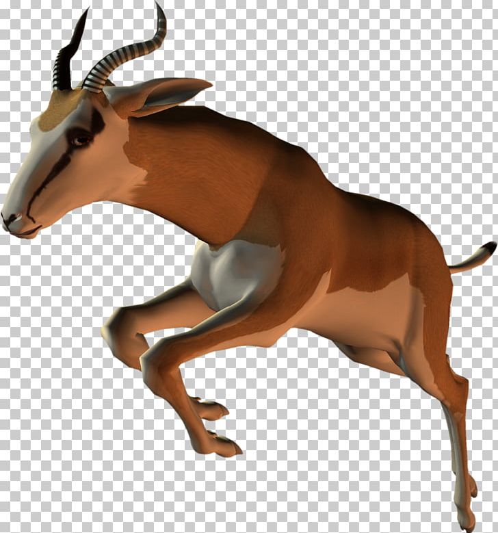 Mustang Antelope Cattle Freikörperkultur Wildlife PNG, Clipart, 2019 Ford Mustang, Animal Figure, Antelope, Cattle, Cattle Like Mammal Free PNG Download