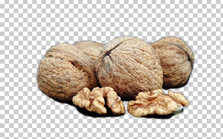 Walnut Dried Fruit PNG, Clipart, Bxe0ner, Dried Fruit, Encapsulated Postscript, Euclidean Vector, Food Free PNG Download