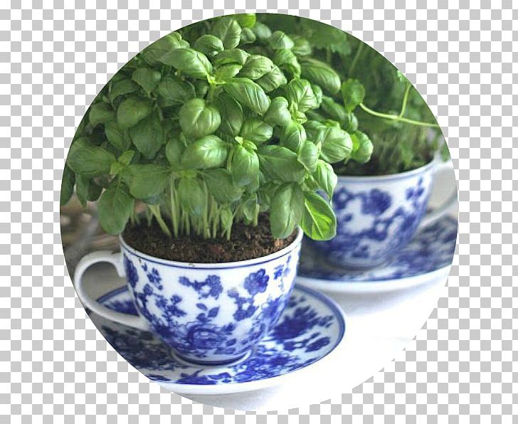 Apartment Garden House Herb Plants PNG, Clipart, Apartment, Back Garden, Bonsai, Container Garden, Flowerpot Free PNG Download
