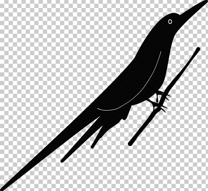 Bird Beak Drawing PNG, Clipart, Animal, Animals, Animal Silhouettes, Art, Beak Free PNG Download