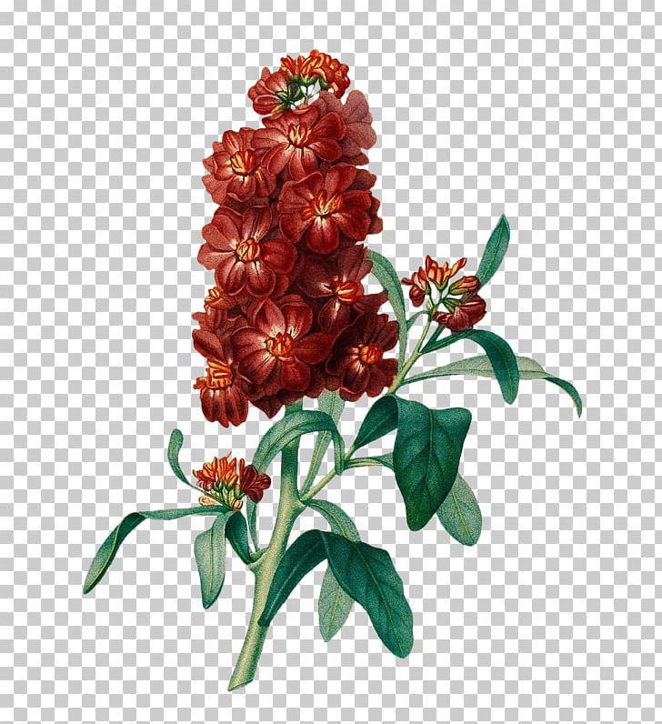 Floral Design Cut Flowers PNG, Clipart, Art, Cut Flowers, Download, Editing, Encapsulated Postscript Free PNG Download