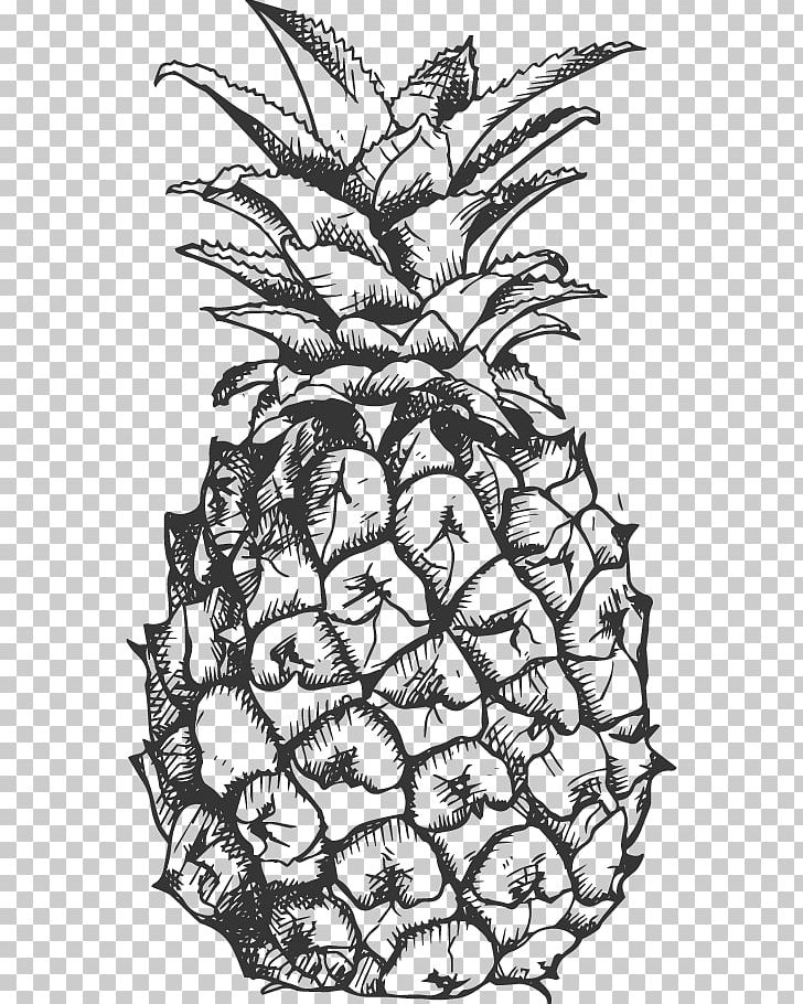 Pineapple Fruit Drawing Black And White PNG, Clipart, Artwork, Banana, Black, Black And White, Branch Free PNG Download