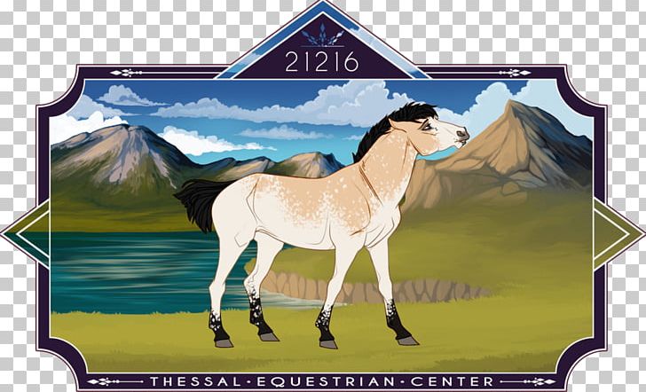 Stallion Mustang Pony Mare Foal PNG, Clipart, Appaloosa, Bridle, Colt, Foal, Friesian Horse Free PNG Download