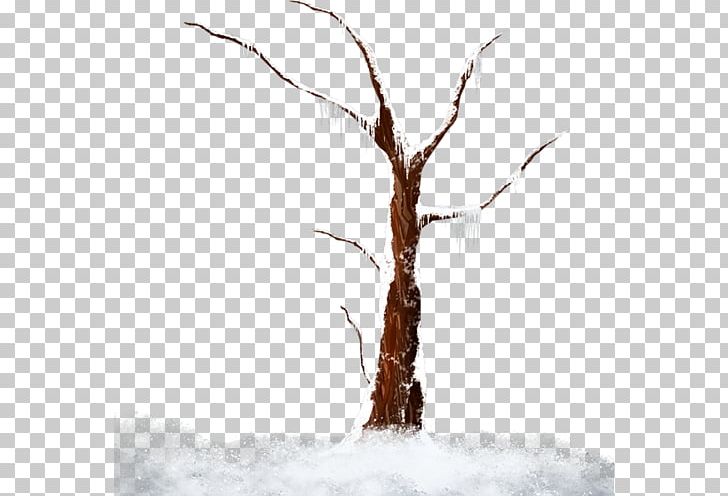 Tree Winter Encapsulated PostScript PNG, Clipart, Branch, Comparazione Di File Grafici, Digital Image, Dry Tree, Encapsulated Postscript Free PNG Download