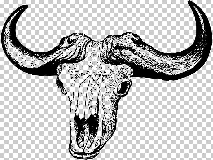 African Buffalo Skull Cattle American Bison PNG, Clipart, Africa, American Bison, Bison, Black And White, Bone Free PNG Download