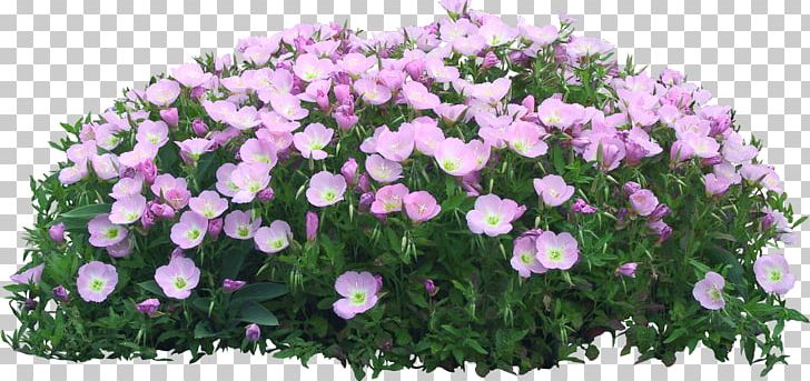 Flower Garden Flowerpot PNG, Clipart, Annual Plant, Cut Flowers, Floral Design, Flower, Flower Arranging Free PNG Download