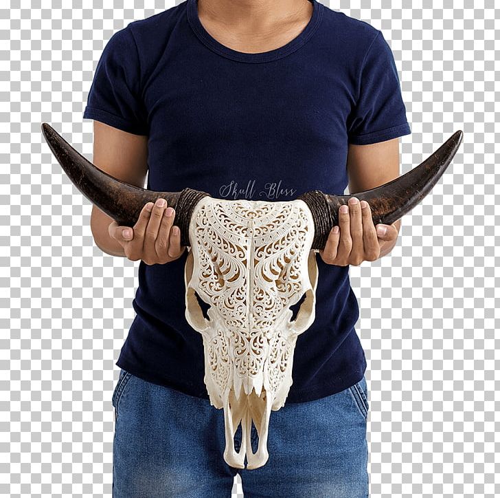 Horn Cattle Skull Orbit Bone PNG, Clipart, Bone, Cattle, Cattle Drive, Color, Cow Pattern Free PNG Download