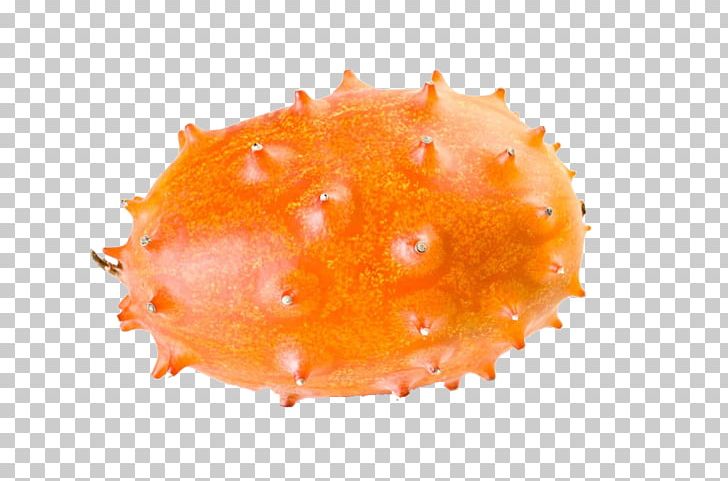Horned Melon Cucumber Muskmelon Fruit PNG, Clipart, Auglis, Bitter Melon, Creative Artwork, Creative Background, Creative Graphics Free PNG Download