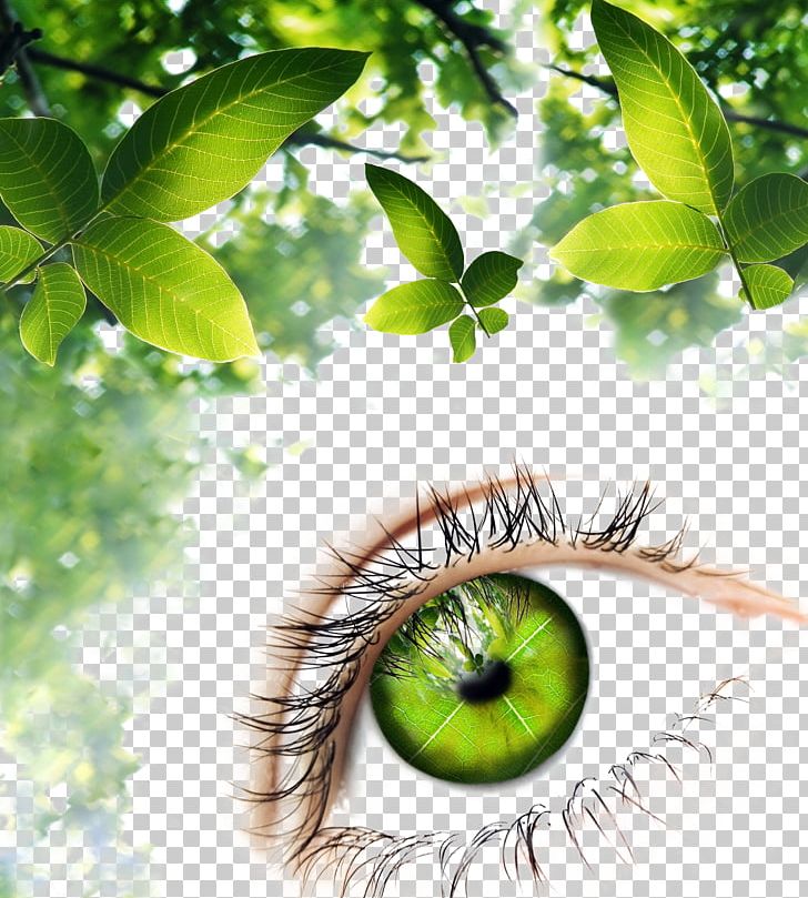 Human Eye Green Illustration PNG, Clipart, Art, Background, Cartoon Eyes, Computer Wallpaper, Deviantart Free PNG Download