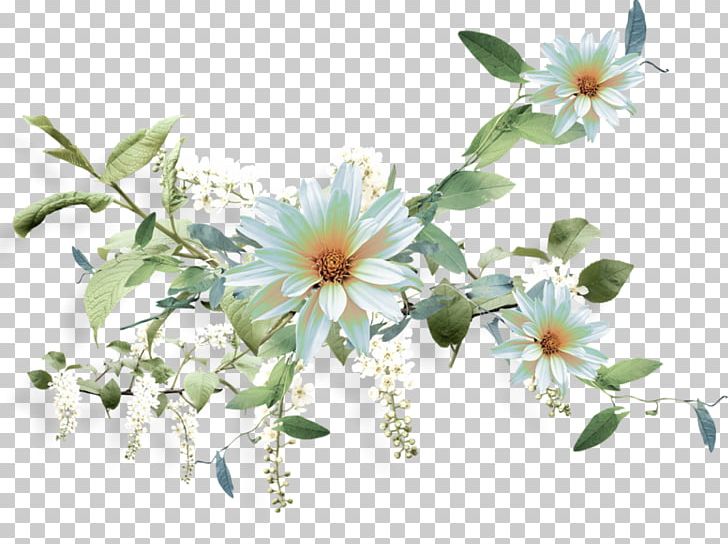 Render PNG, Clipart, Blossom, Branch, Encapsulated Postscript, Flora, Floral Design Free PNG Download