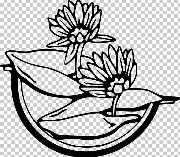 Water Lilies White Water-Lily PNG, Clipart, Artwork, Black And White, Cut Flowers, Download, Drawing Free PNG Download