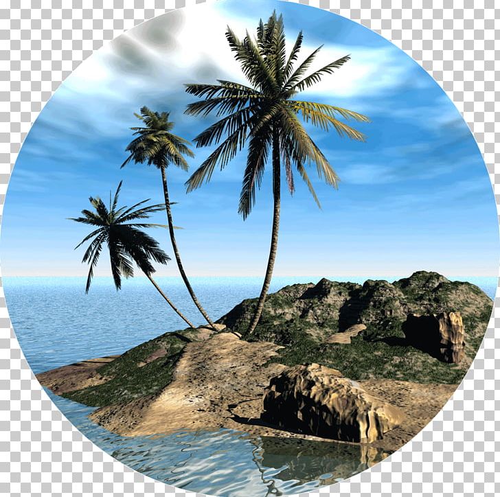 Desktop Desert Island Beach PNG, Clipart, Arecales, Beach, Blog, Caribbean, Coconut Free PNG Download