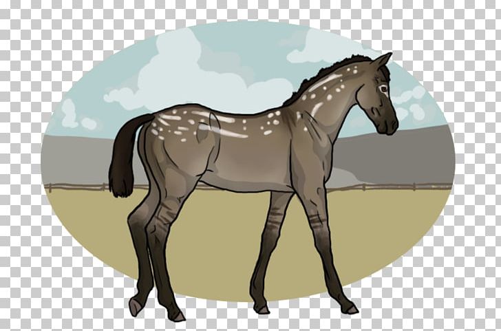 Foal Stallion Mare Rein Colt PNG, Clipart, Bridle, Cartoon, Colt, Foal, Halter Free PNG Download