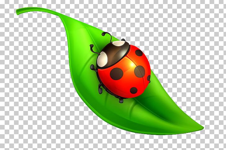 Ladybird Beetle Insect Drawing PNG, Clipart, Animals, Beetle, Child, Computer Icons, Desktop Wallpaper Free PNG Download
