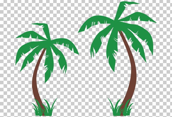 T-shirt Arecaceae Tree Wall Decal PNG, Clipart, Arecaceae, Arecales, Clothing, Coconut, Decal Free PNG Download
