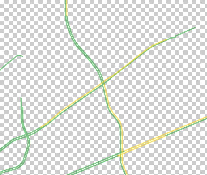 Leaf Line Plant Stem Green PNG, Clipart, Angle, Family, Grass, Grasses, Grass Family Free PNG Download