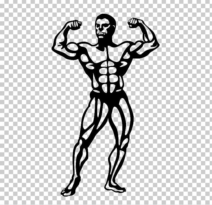 Natural Bodybuilding PNG, Clipart, Abdomen, Area, Arm, Art, Black And White Free PNG Download