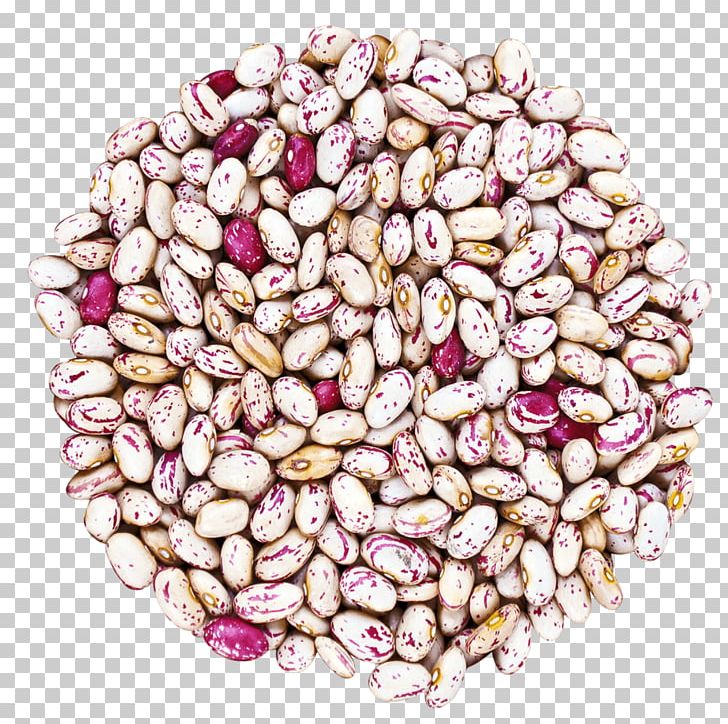 Cranberry Bean Vegetarian Cuisine Food Ingredient PNG, Clipart, Bean, Commodity, Common Bean, Cooking, Cranberries Free PNG Download