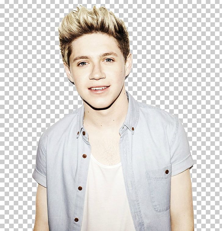 One Direction Mullingar On The Road Again Tour Desktop PNG, Clipart, American Music Awards, Chin, Desktop Wallpaper, Forehead, Hair Free PNG Download