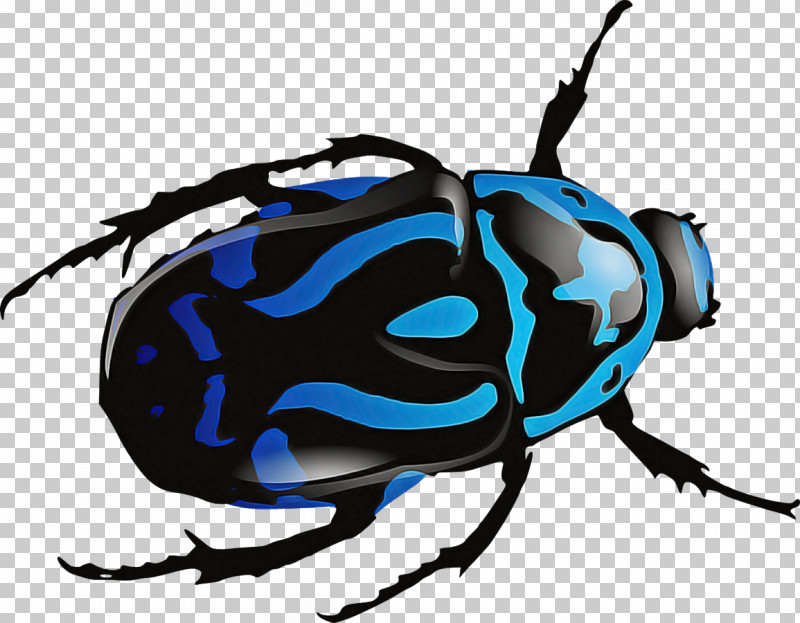 Beetles Scarabs Ladybird Beetle Green June Beetle Dung Beetle PNG, Clipart, Beetles, Blog, Dung Beetle, Green June Beetle, Insect Free PNG Download