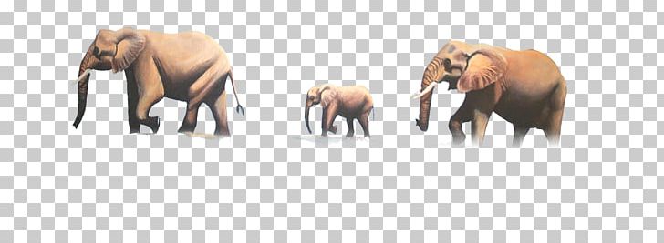 African Elephant Indian Elephant PNG, Clipart, Animal, Animals, Baby Elephant, Cute Elephant, Download Free PNG Download