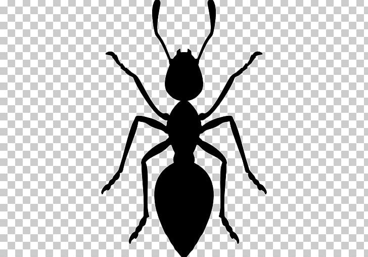 Ant PNG, Clipart, Animals, Ant, Ant Colony, Arthropod, Artwork Free PNG Download