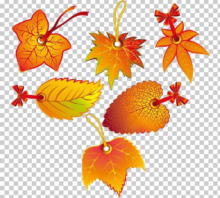 Autumn Leaf Color PNG, Clipart, Autumn, Autumn Leaf, Autumn Leaf Color, Encapsulated Postscript, Euclidean Vector Free PNG Download