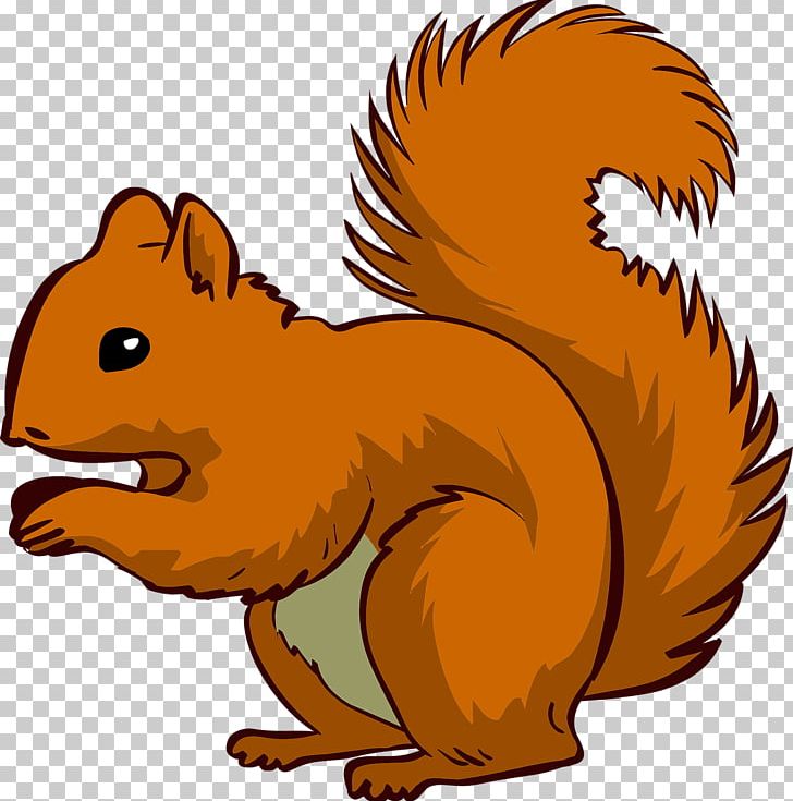 Squirrel Chipmunk PNG, Clipart, Animals, Beaver, Brown, Carnivoran, Cartoon  Free PNG Download