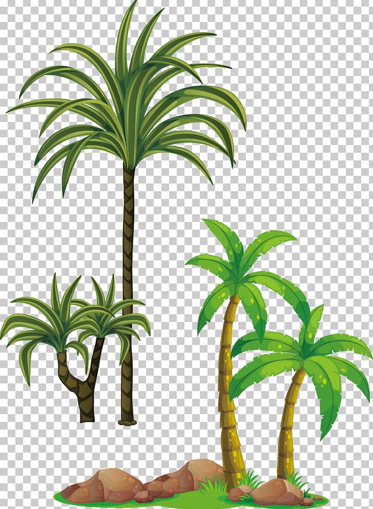 Tree Arecaceae PNG, Clipart, Arecales, Autumn Tree, Christmas Tree, Coconut, Family Tree Free PNG Download