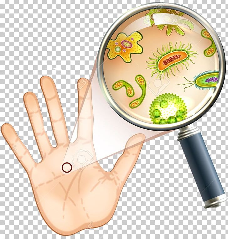Bacteria Microorganism Microscope Cell Amoeba PNG, Clipart, Alternative Medicine, Amoeba, Bacteria, Bacterial Cell Structure, Cell Free PNG Download