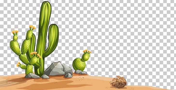 Desert Cactaceae Illustration PNG, Clipart, Cactus, Desert, Flower, Flowering Plant, Grass Free PNG Download